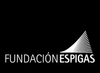Universidad Nacional de San Martín. Escuela de Arte y Patrimonio - Centro de Estudios Espigas - Fundación Espigas